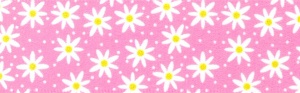 Daisy Chain Pink 25mmx20m